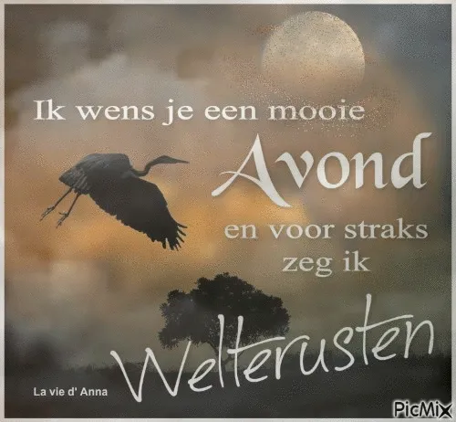 Een serene avondlucht met een vogel en de tekst "Welterusten".