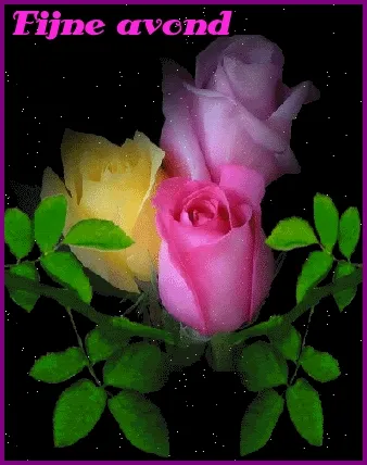 Drie rozen met de tekst "Fijne avond" in paarse letters.
