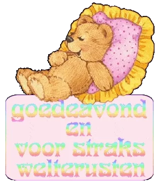 Een slapende teddybeer op een kussen met de tekst: 'Goedeavond en voor straks welterusten'.