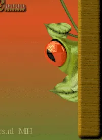 Groene kikker kijkt nieuwsgierig om de hoek van een muur met een tak.