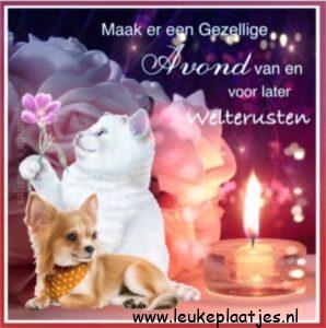 fijne avond en welterusten