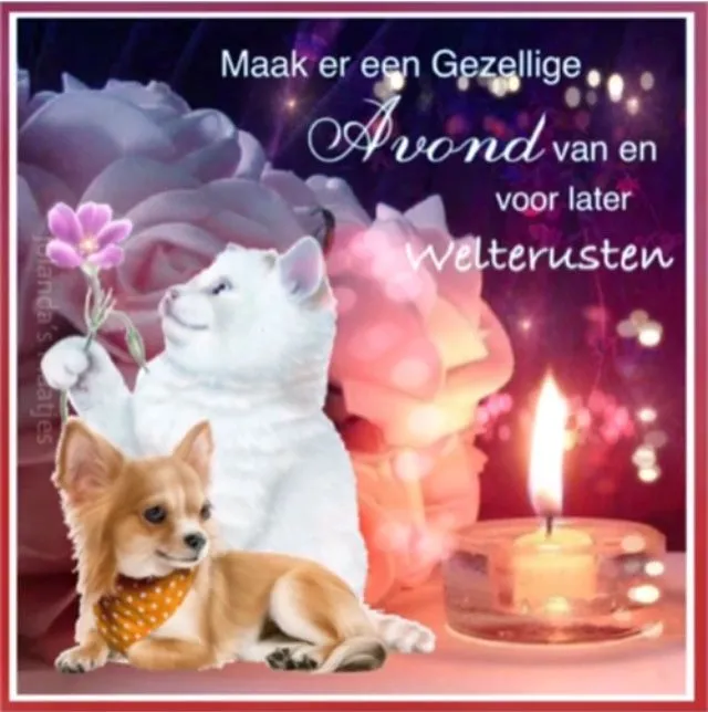 Een schattige hond en een kat met bloemen bij een kaars, met tekst over een gezellige avond.