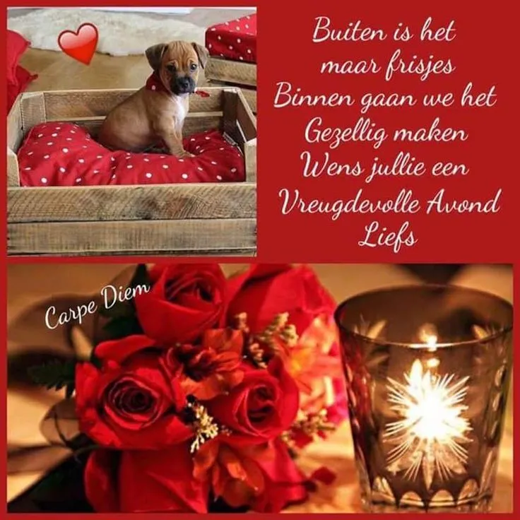 Een puppy in een mand met rode kussens, bloemen en een kaars. Gezellige sfeer.