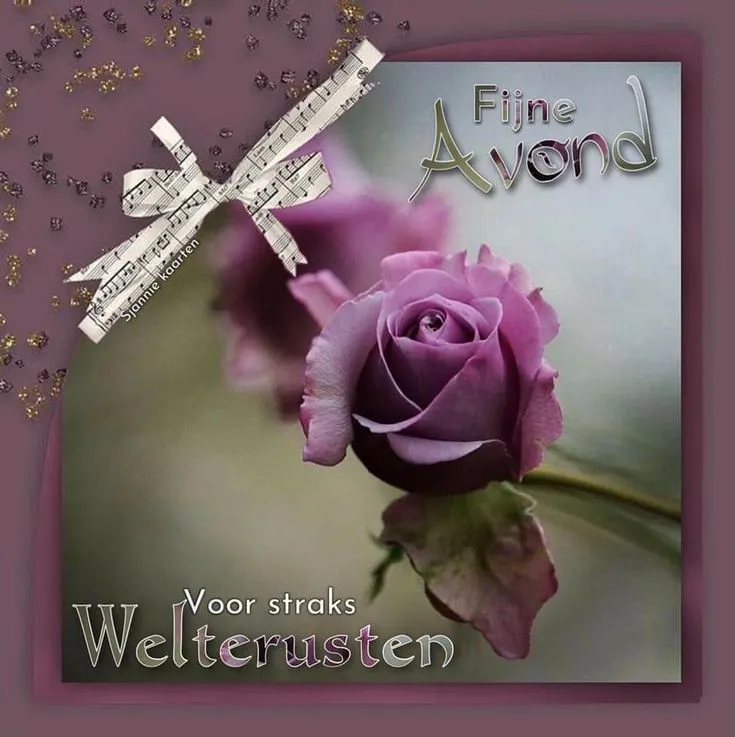 Achtergrond met een paarse roos en muzieknoten, tekst 'Fijne Avond'.