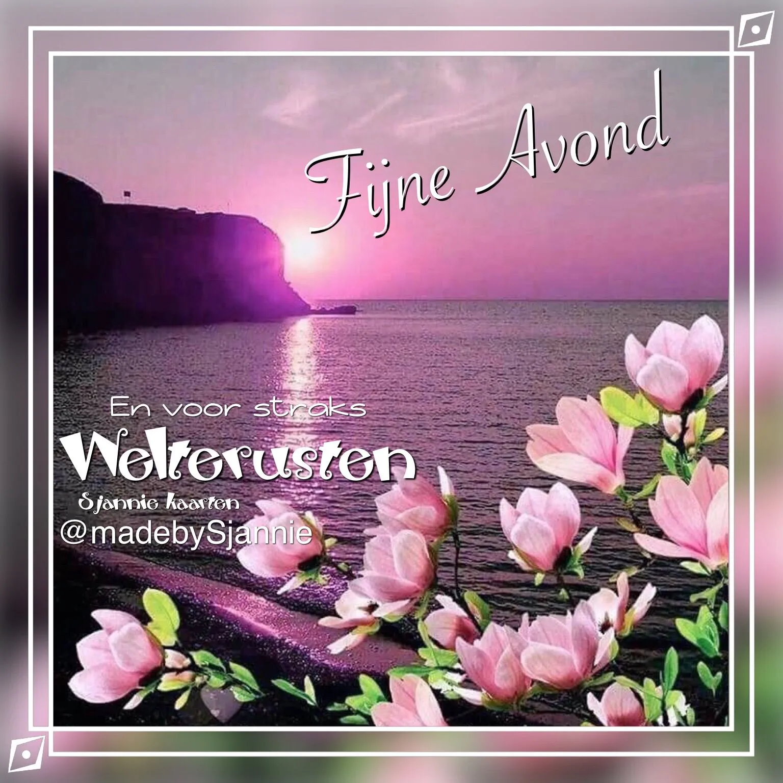 Zonsondergang boven de zee met bloeiende bloemen en de tekst "Fijne Avond".