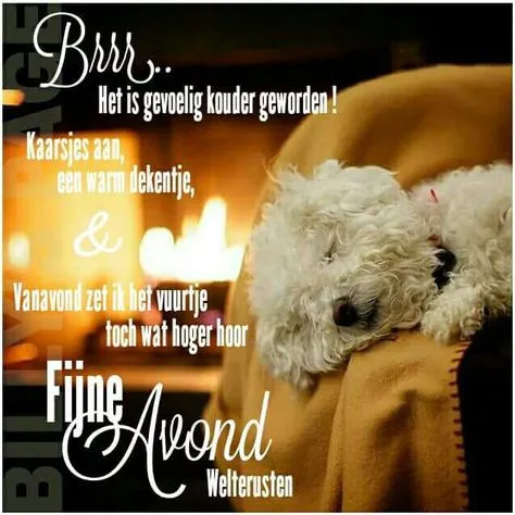 Witte hond slaapt naast een open haard met tekst over een gezellige avond.