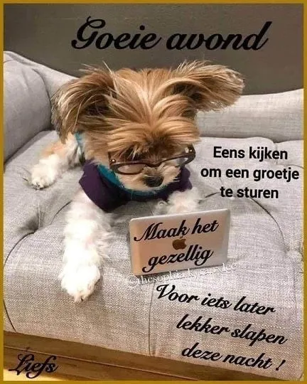 Hond met een bril kijkt naar een laptop, klaar om een groet te sturen.