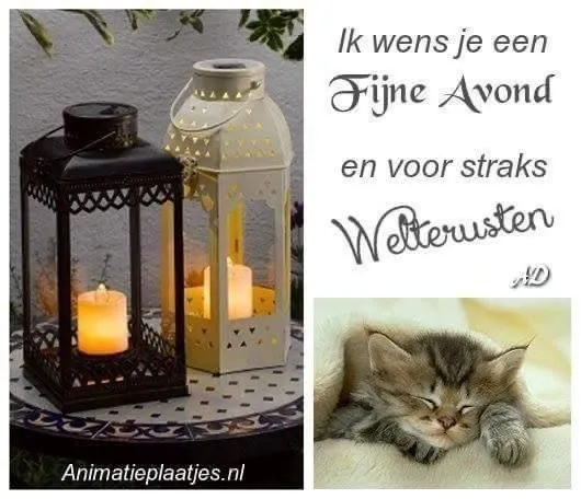 Twee lantaarns met kaarsen en een slapende kitten. Tekst voor een fijne avond.