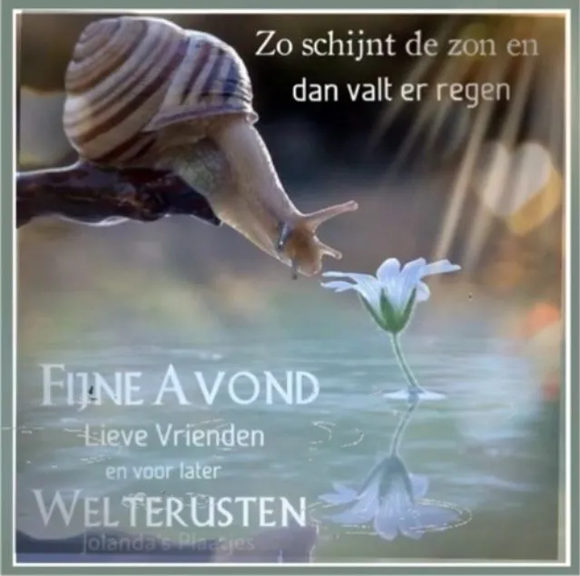 Een slak bij een bloem in reflecterend water, met tekst over de avond en rust.