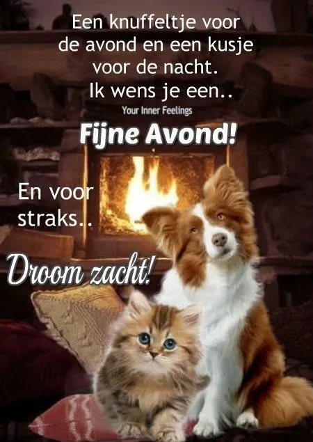 Een hond en kitten bij een haardvuur met tekst over een fijne avond en dromen.