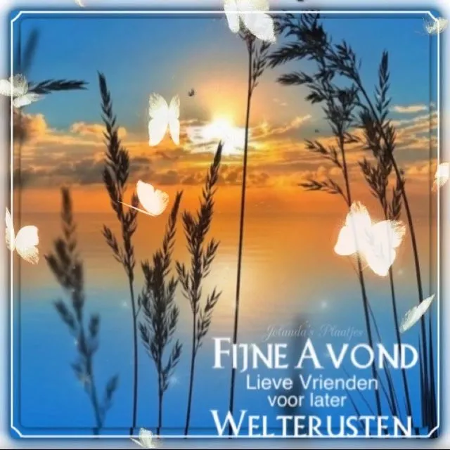 Zonsondergang boven water met gras en vlinders, wens voor een fijne avond.