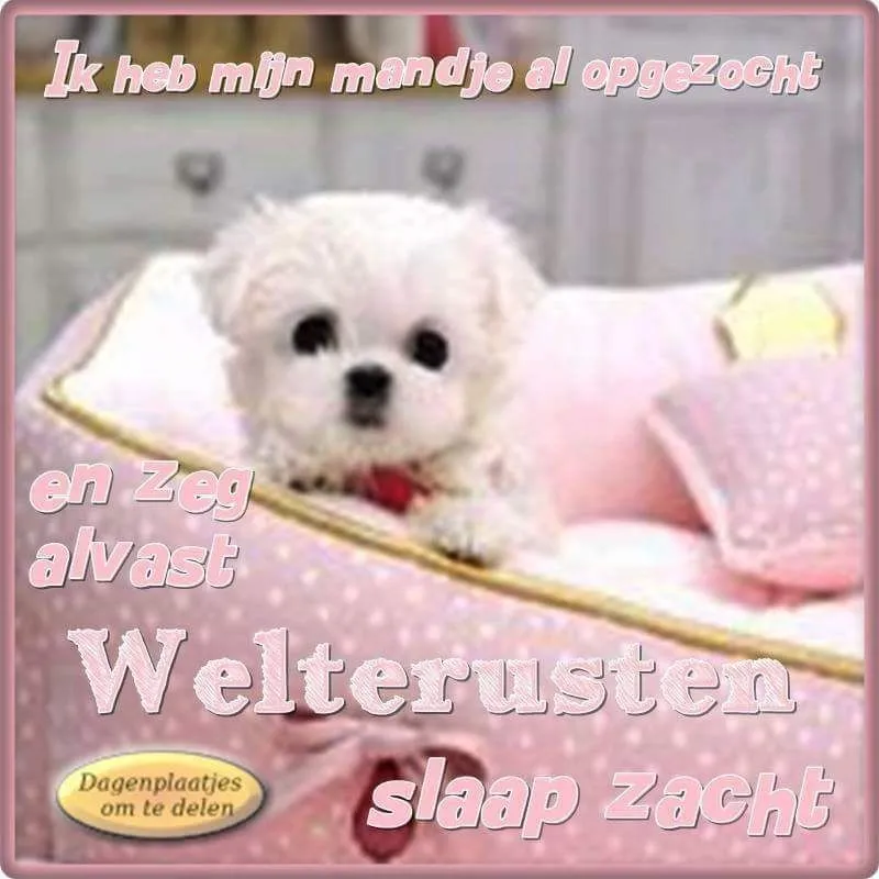 Een schattige hond ligt op een roze bedje met tekst over slapen.