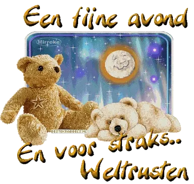 ᐅ fijne avond gif - Fijne avond plaatjes Twee teddyberen met een sterry achtergrond en de tekst: "Een fijne avond".
