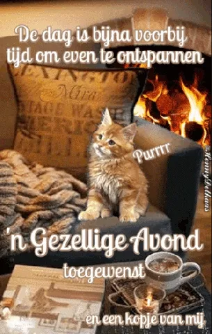 ᐅ fijne avond gif - Fijne avond plaatjes Een kat ligt op een stoel naast een open haard met een kopje koffie. Tekst over een gezellige avond.