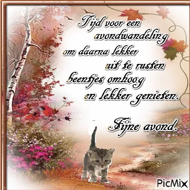 ᐅ fijne avond gif - Fijne avond plaatjes Katje wandelt in de natuur met herfstbladeren. Tekst: "Fijne avond."