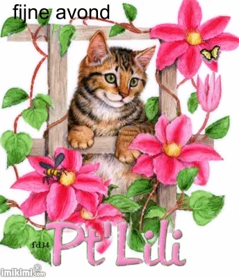 ᐅ fijne avond gif - Fijne avond plaatjes Een schattige kat kijkt door een hek omringd door roze bloemen.