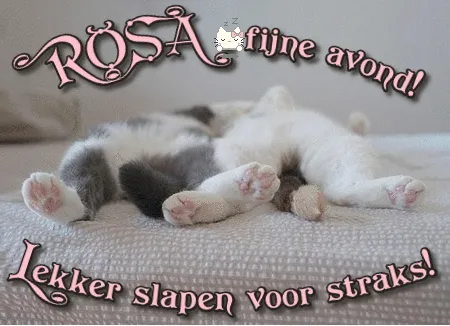 ᐅ fijne avond gif - Fijne avond plaatjes Twee slapende katten liggen op een bed met hun pootjes zichtbaar.