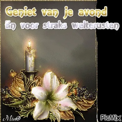 ᐅ fijne avond gif - Fijne avond plaatjes Witte bloem naast een kaars met de tekst: "Geniet van je avond."