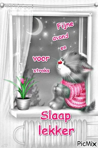 ᐅ fijne avond gif - Fijne avond plaatjes Een schattige kat kijkt naar de maan vanuit een raam met een plant.