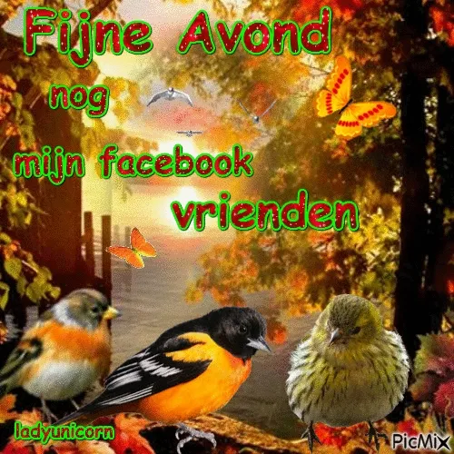 ᐅ fijne avond gif - Fijne avond plaatjes Drie vogels op een kleurrijke achtergrond met de tekst "Fijne Avond vrienden".