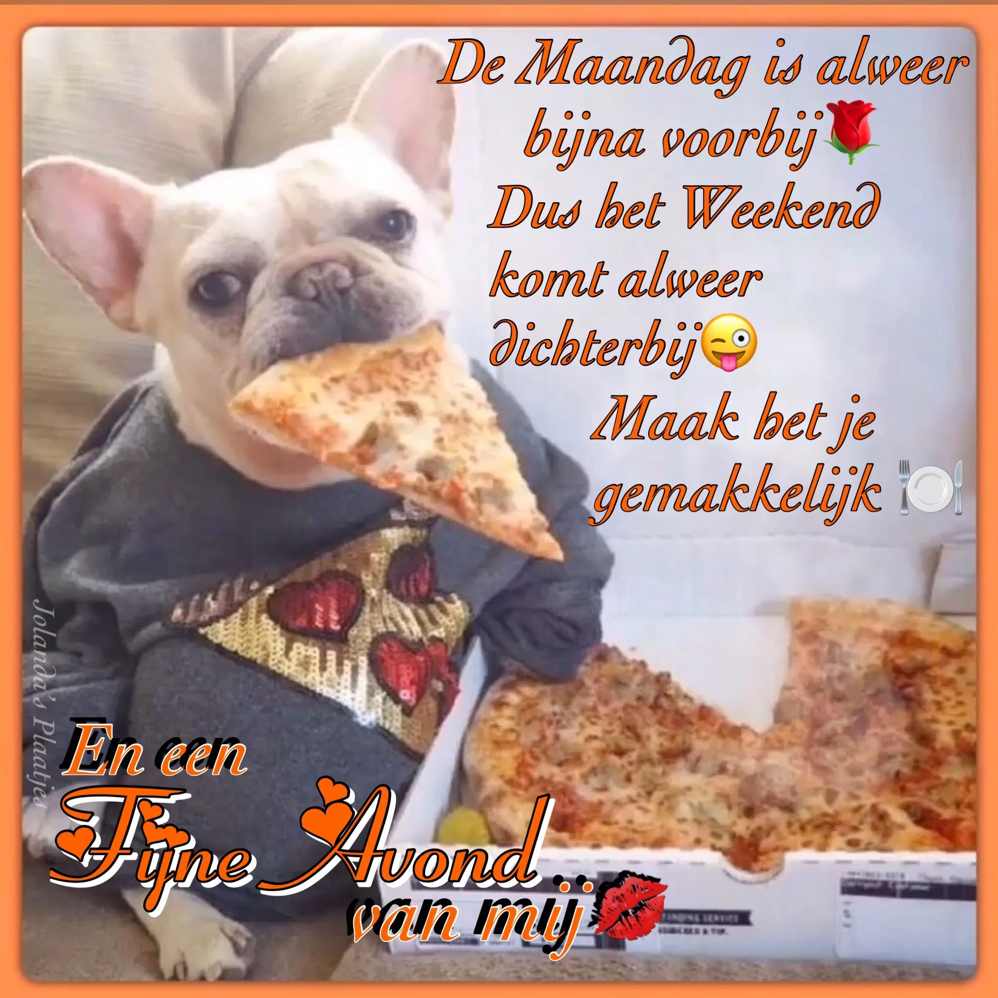 ᐅ fijne avond grappig - Fijne avond plaatjes Een Franse Bulldog met pizza, zittend en gekleed in een trui.