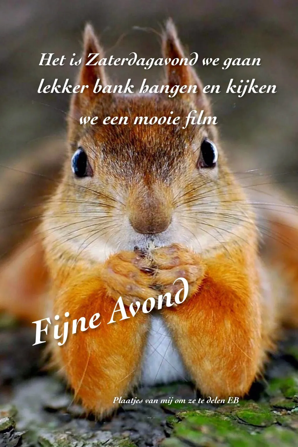 ᐅ fijne avond grappig - Fijne avond plaatjes Eekhoorn met tekst over een gezellige filmavond op zaterdag.