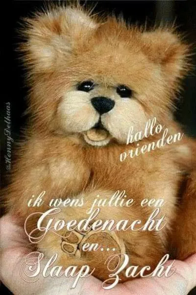 ᐅ fijne avond grappig - Fijne avond plaatjes Een hand houdt een schattige, pluizige teddybeer met een goede nacht boodschap.