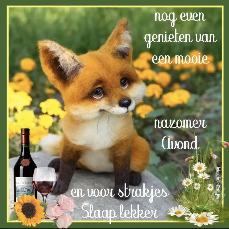 ᐅ fijne avond grappig - Fijne avond plaatjes Vox met een schattige vos, wijn en bloemen op een zomerse avond.