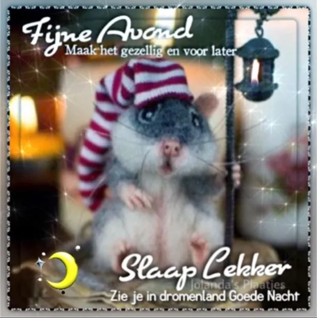 ᐅ fijne avond grappig - Fijne avond plaatjes Een muis in pyjama met een slaapmuts en een lantaarn. Groet voor de goede nacht.