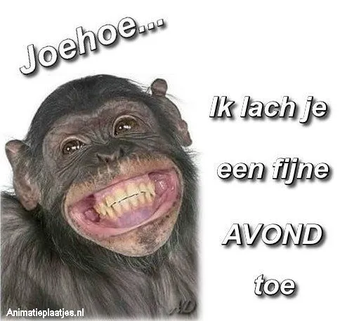 ᐅ fijne avond grappig - Fijne avond plaatjes Aap met een brede lach en de tekst "Ik wens je een fijne AVOND toe."