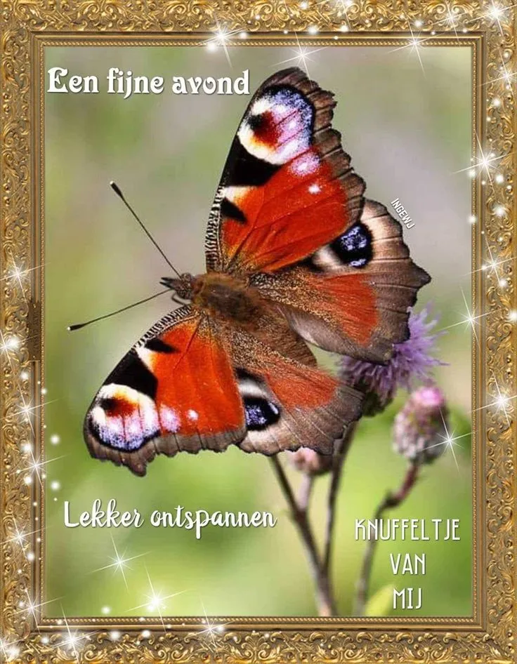 ᐅ fijne avond grappig - Fijne avond plaatjes Een kleurrijke vlinder op een bloem met glinsterende rand en tekst.