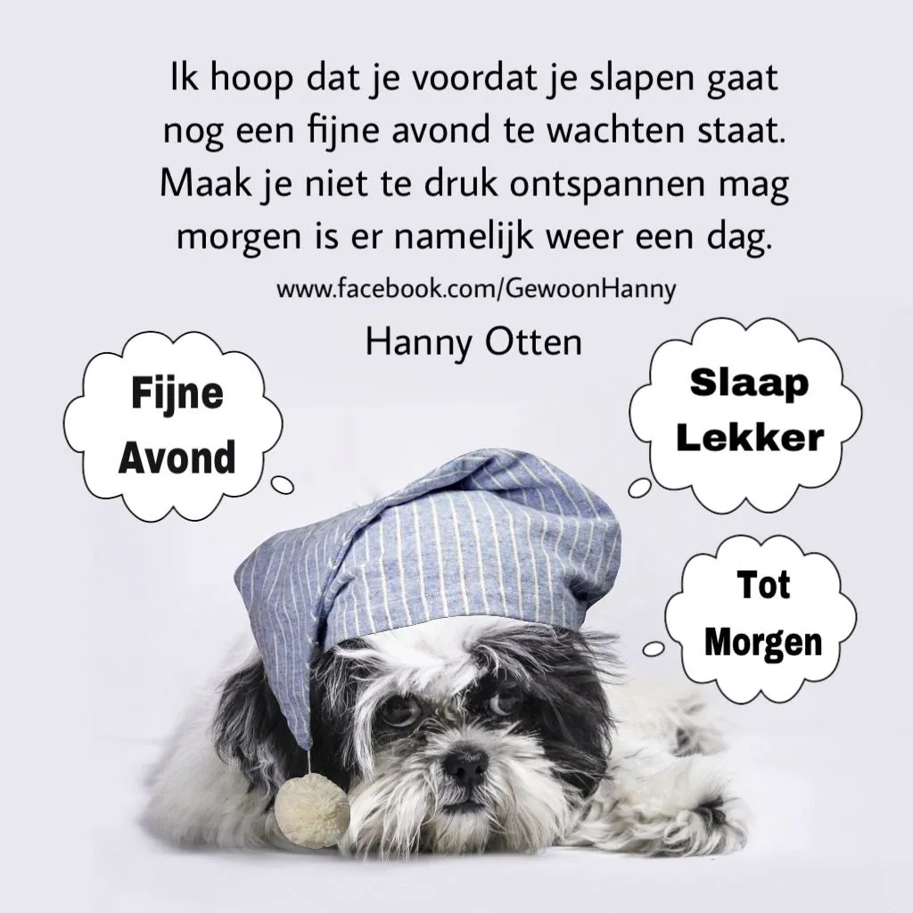 ᐅ fijne avond grappig - Fijne avond plaatjes Een schattige hond met een slaapmuts en tekstballonnen over een fijne avond.