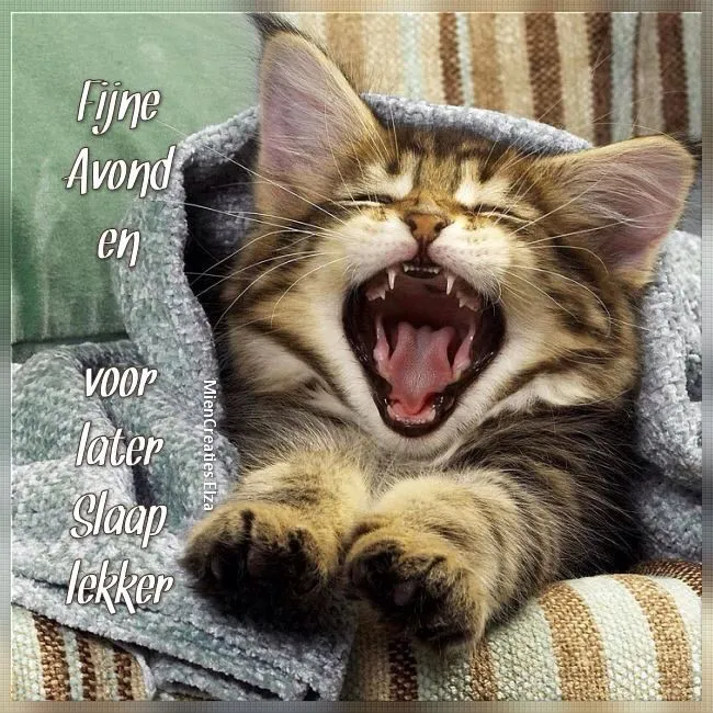 ᐅ fijne avond grappig - Fijne avond plaatjes Een kitten die gaapt, gewikkeld in een deken op een bank.