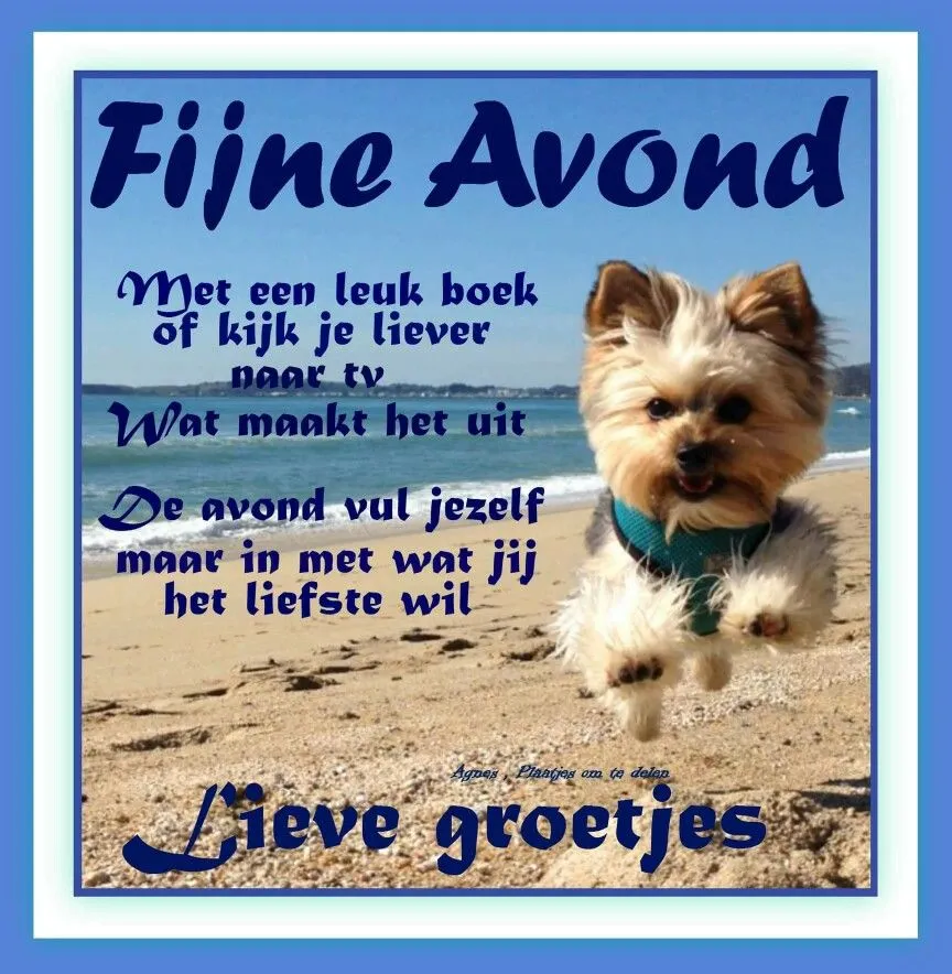 Een schattige hond springt vrolijk aan het strand met een positieve tekst.