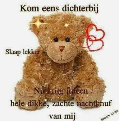 Pluche teddybeer met tekst over knuffelen en slapen.