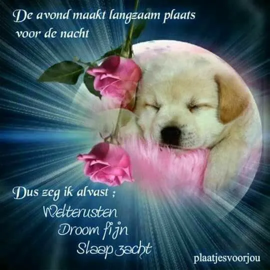 Slaapende puppy met rozen, tekst over de avond en dromen.