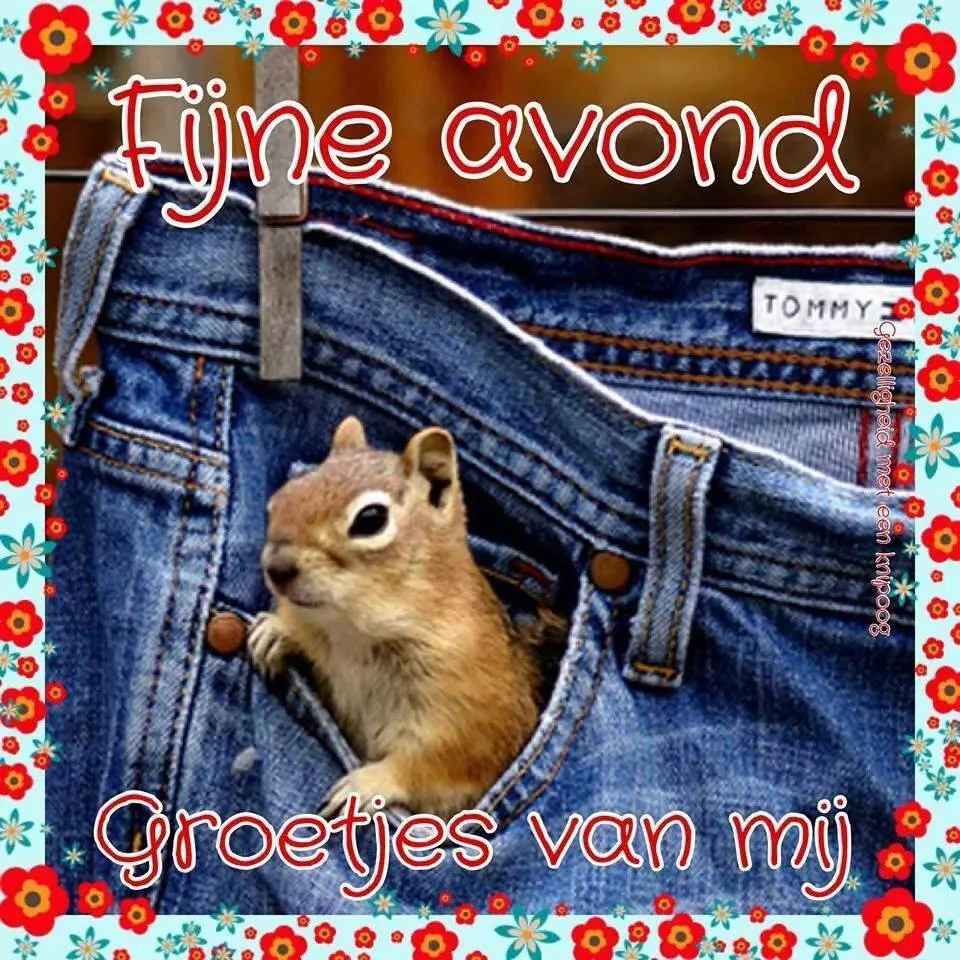 Eekhoorn kijkt vanuit een spijkerbroek, met een vrolijk ingerichte achtergrond.