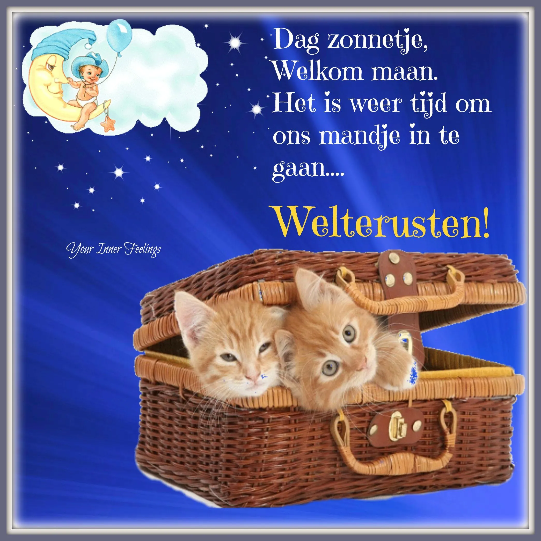 Twee schattige kittens liggen in een mand op een sterrenachtige achtergrond.