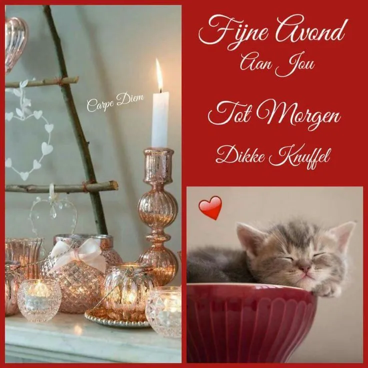 Warme avondsetting met kaarsen en een slapende kitten in een kom.