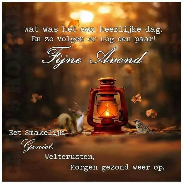 Een sfeervolle afbeelding met een lantaarn, een eekhoorn en een vogel. Tekst over de avond.