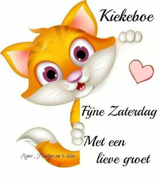 Kattenillustratie met vrolijke tekst voor een fijne zaterdag en een lieve groet.
