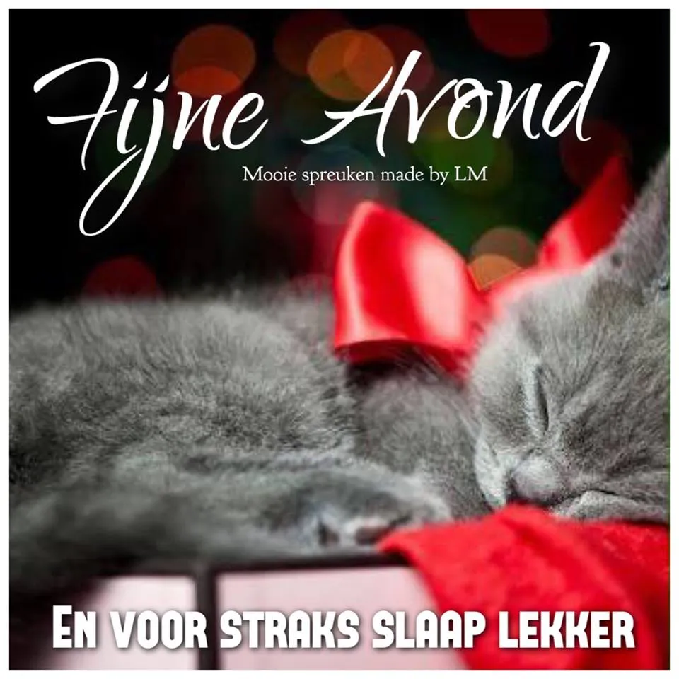 Een schattige kat met een rode strik slaapt vredig op een houten oppervlak.