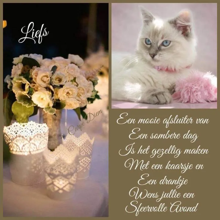 Een schattige kat en bloemen met kaarsjes voor een sfeervolle avond.