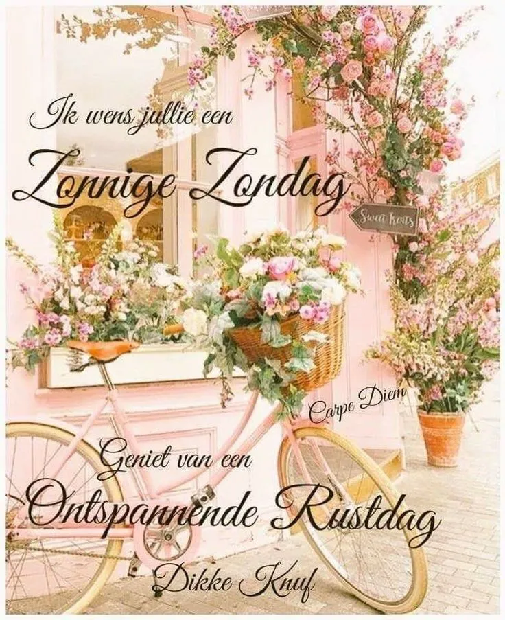 Fiets met bloemen in een zonnige straat, met een boodschap voor een rustdag.