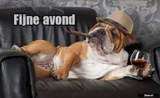 ᐅ fijne avond humor - Fijne avond plaatjes Bulldog ligt ontspannen op een bank met een hoed en een glas in de poot.