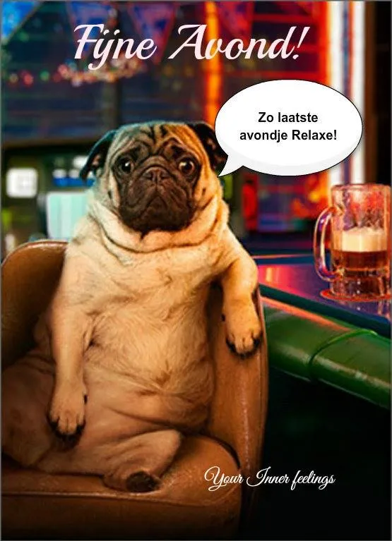 ᐅ fijne avond humor - Fijne avond plaatjes Een bulldog zit in een stoel met een biertje, met de tekst "Fijne Avond!" erboven.