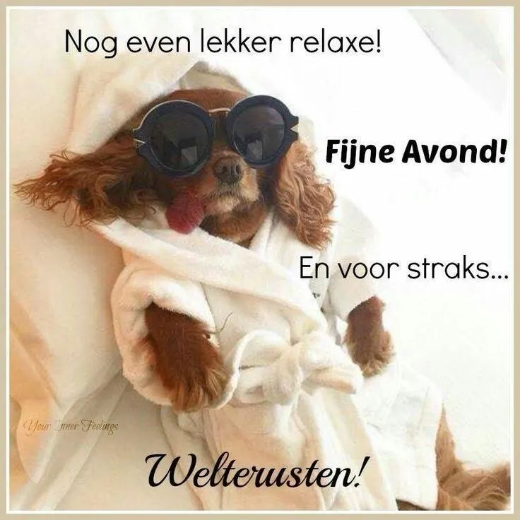 ᐅ fijne avond humor - Fijne avond plaatjes Een hond in badjas en zonnebril, ontspannen met de tekst "Fijne Avond!"