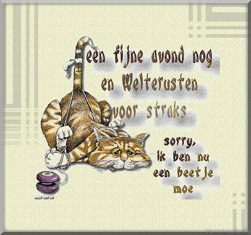 ᐅ fijne avond humor - Fijne avond plaatjes Een kat ligt vermoeid op de grond met een boodschap over rust en vermoeidheid.