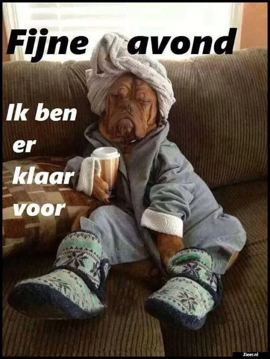 ᐅ fijne avond humor - Fijne avond plaatjes Hond in een badjas met een kopje koffie, klaar voor een ontspannen avond.