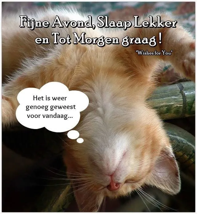 ᐅ fijne avond humor - Fijne avond plaatjes Een slapende kat met tekstballon en goede avond wensen.